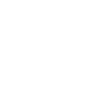 Custom Software Design