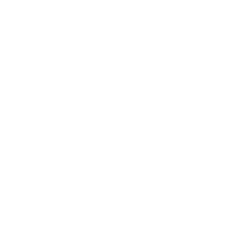 Our Veteran Roots and Expertise