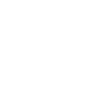 Tailored Tech, Smart Investment