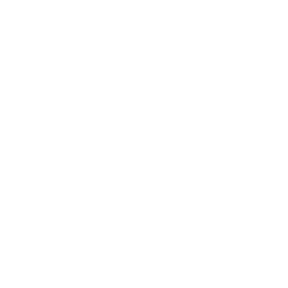 Partners in Progress