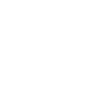 Veteran-Led Expertise