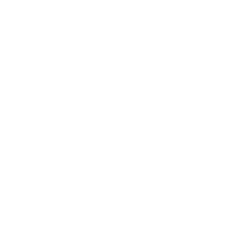 Salesforce Specialization